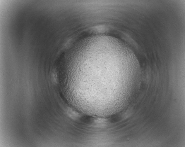 X0000067330718200604071325