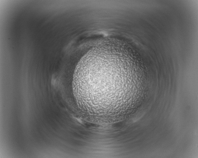 X0000067330720200604071325