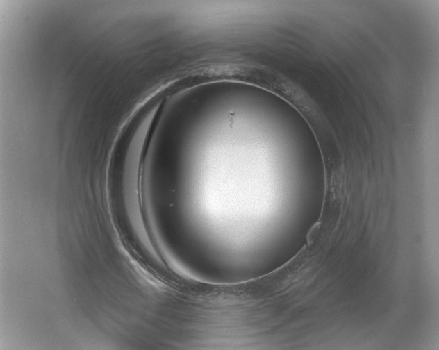 X0000067330722200604071324