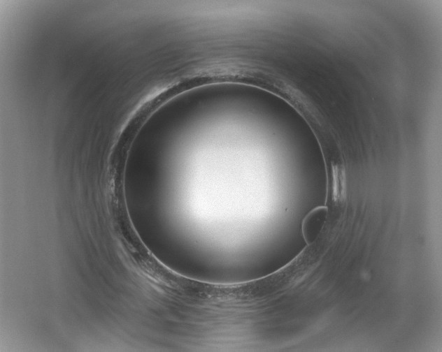 X0000067330723200604071324