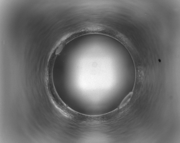 X0000067330726200604071324