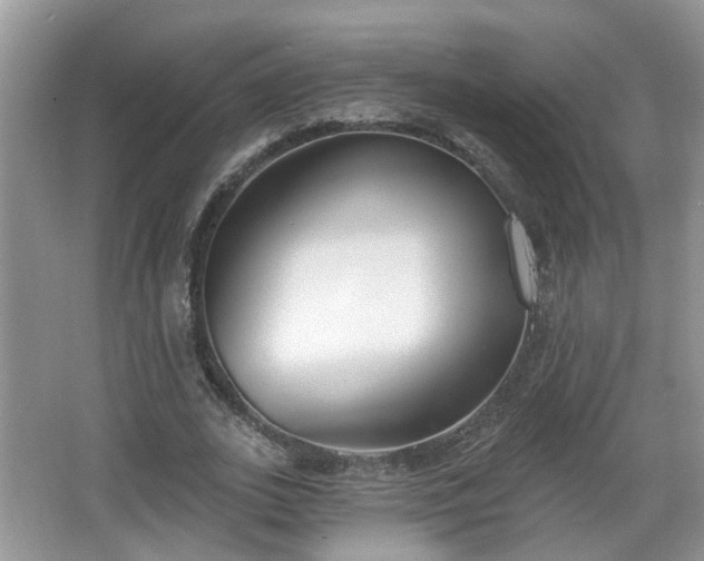 X0000067330727200604071324