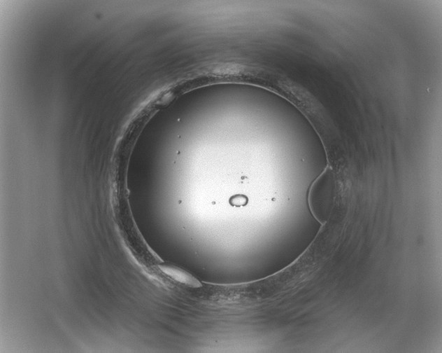 X0000067330728200604071324