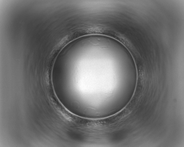 X0000067330729200604071324