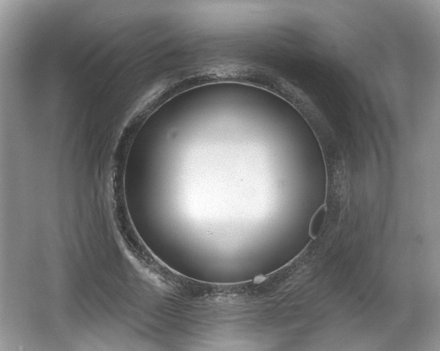 X0000067330730200604071324