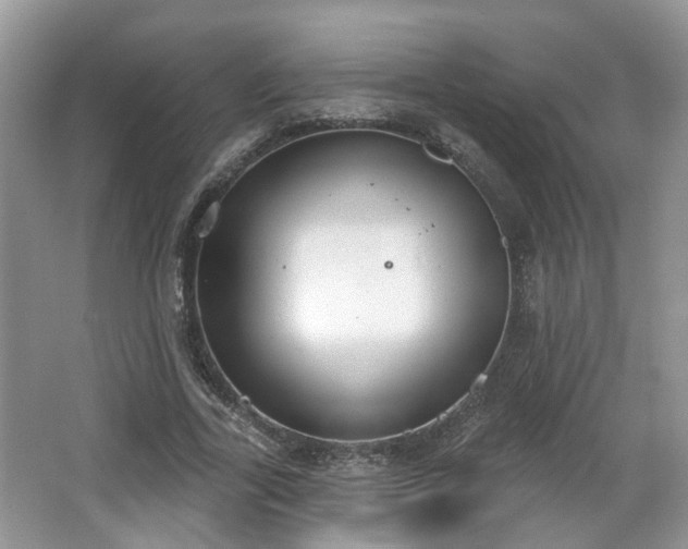 X0000067330731200604071324