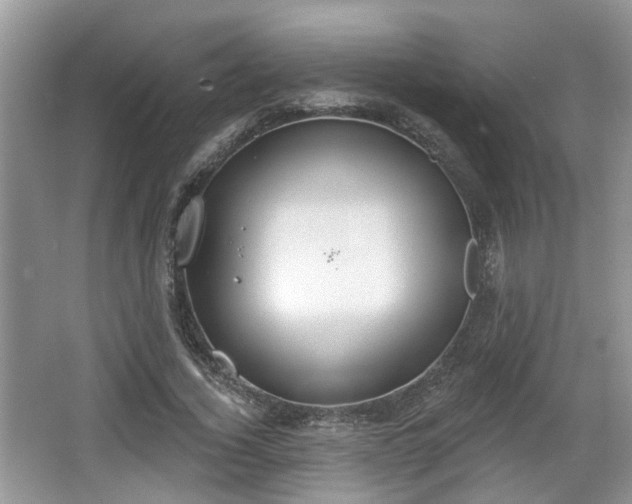 X0000067330732200604071324