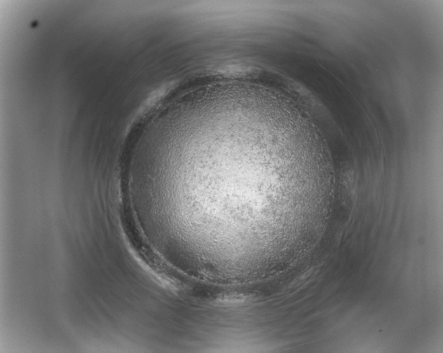 X0000067330734200604071324