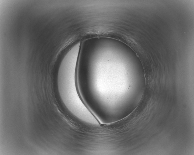 X0000067330735200604071324