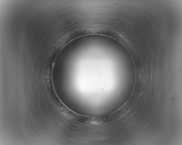 X0000067330737200604071325