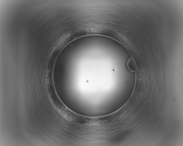 X0000067330738200604071325