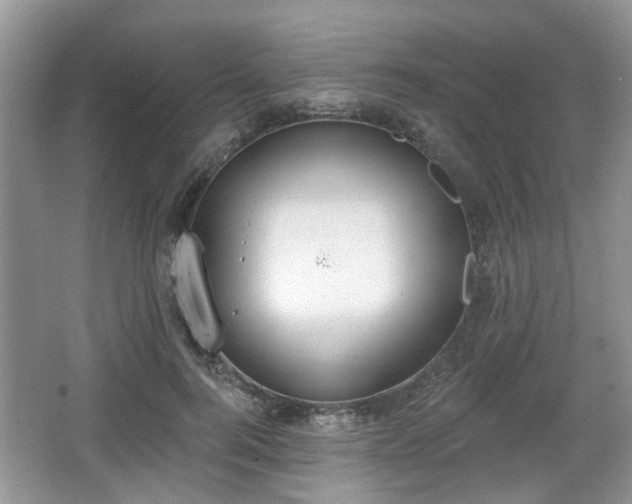 X0000067330744200604071325