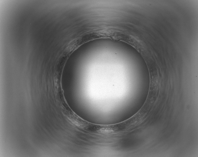 X0000067330749200604071325