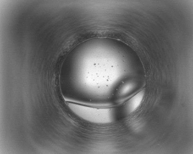 X0000067330750200604071325