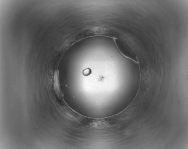 X0000067330752200604071325