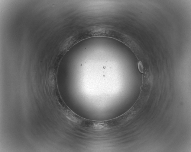 X0000067330753200604071325