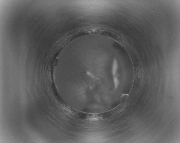 X0000067330754200604071325