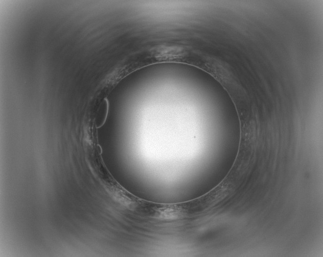 X0000067330755200604071325