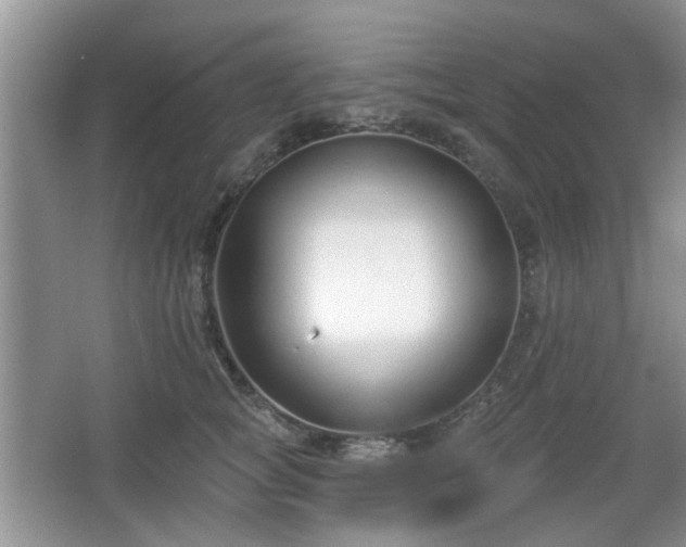 X0000067330757200604071325