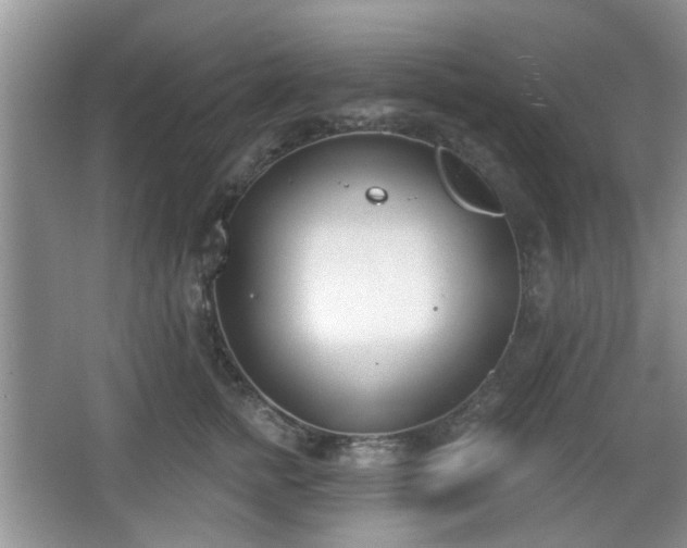 X0000067330758200604071325