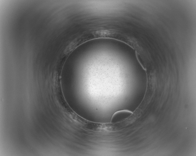 X0000067330760200604071325