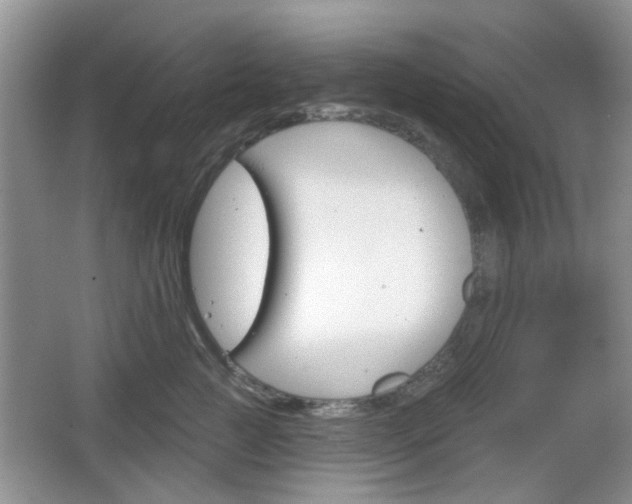 X0000067330761200604071325