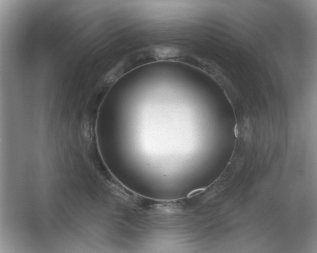 X0000067330763200604071325