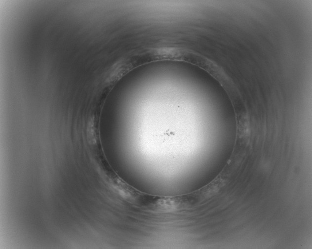 X0000067330764200604071325