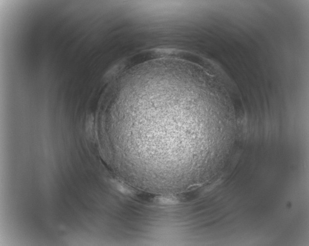 X0000067330765200604071325