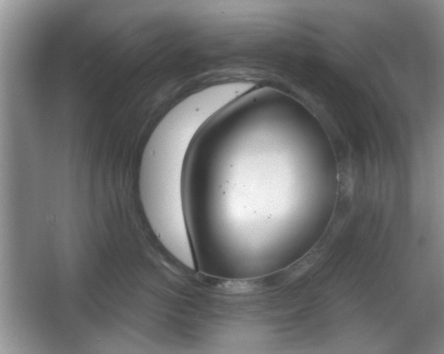 X0000067330766200604071325