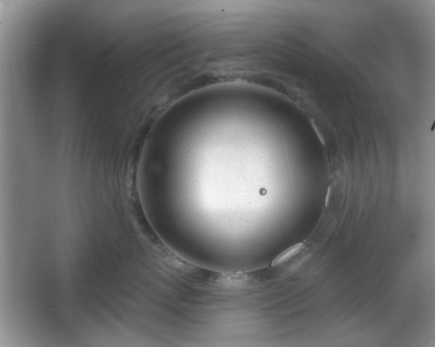 X0000067330767200604071325