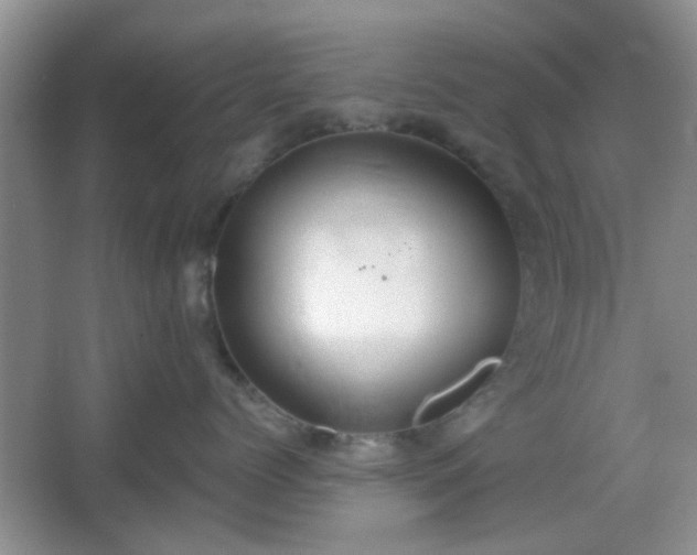 X0000067330768200604071325