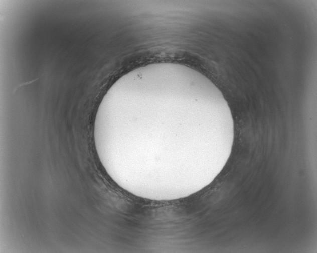 X0000067330769200604071324