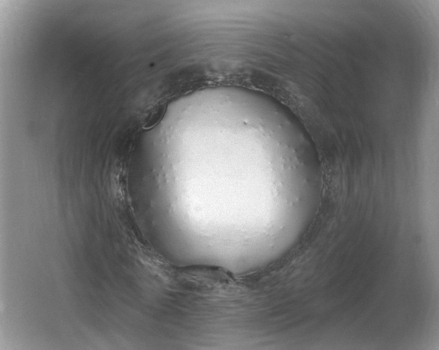 X0000067330770200604071324