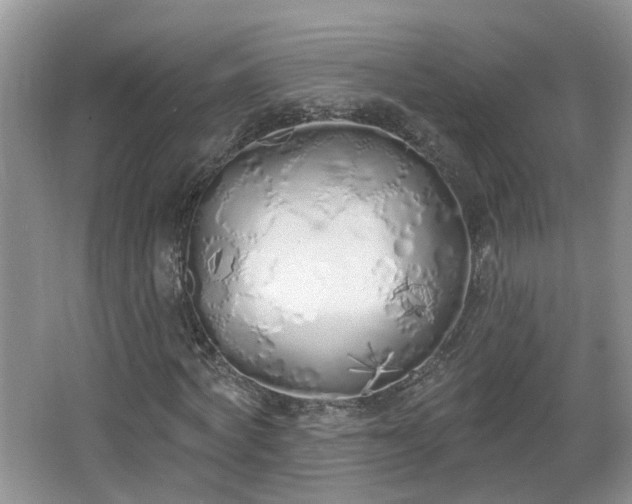 X0000067330772200604071324