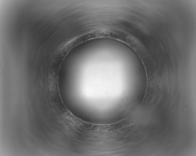 X0000067330773200604071324