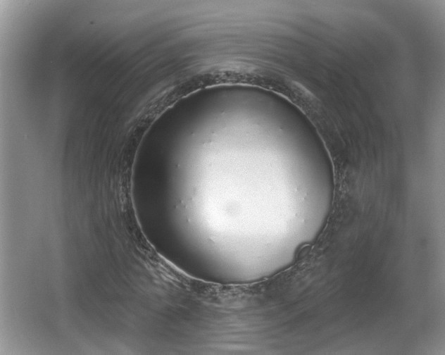 X0000067330774200604071324