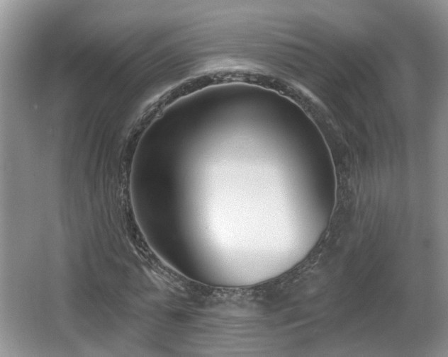 X0000067330775200604071324