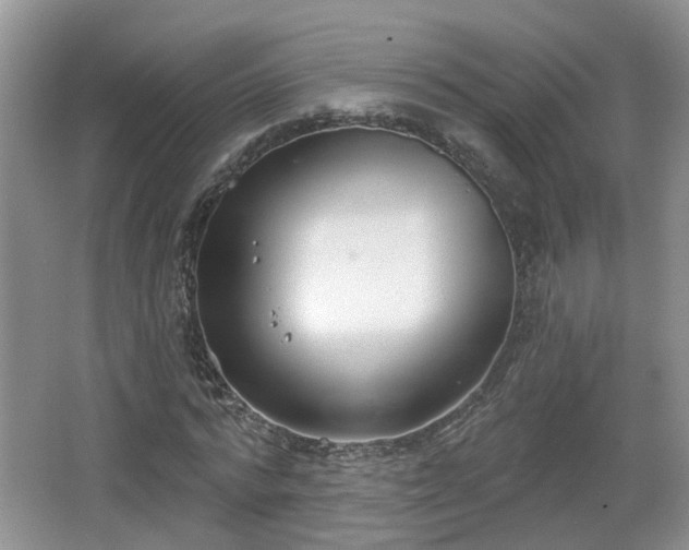 X0000067330776200604071324