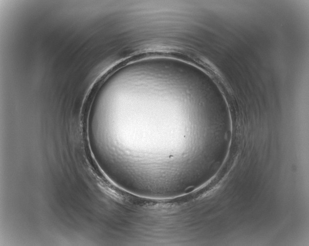 X0000067330779200604071324