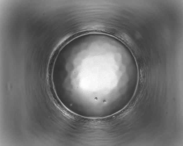 X0000067330780200604071324