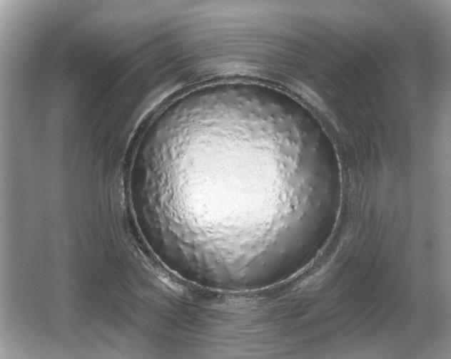 X0000067330782200604071324