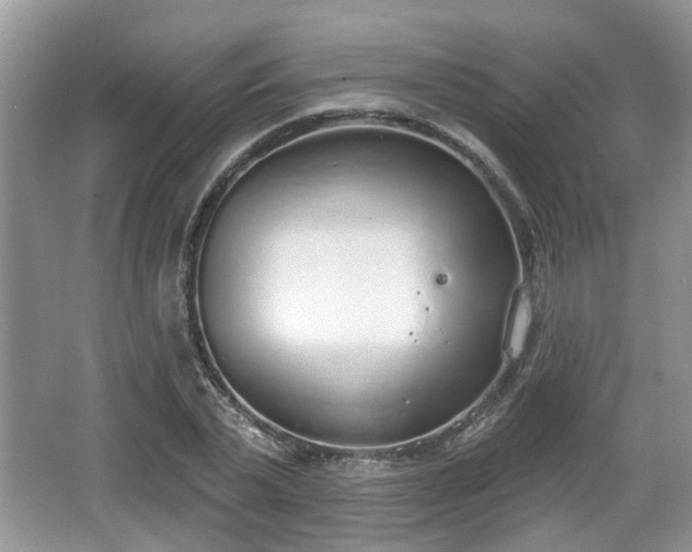 X0000067330783200604071324