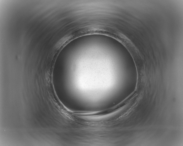 X0000067330785200604071324