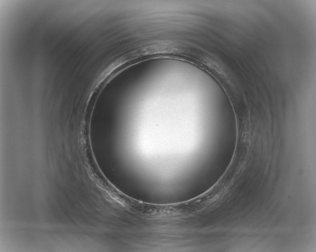 X0000067330786200604071324