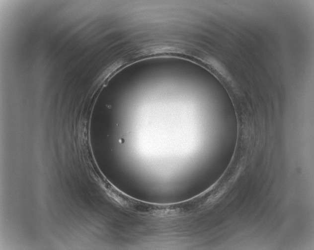 X0000067330793200604071324