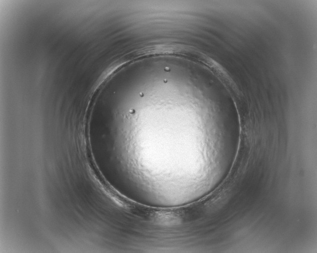 X0000067330794200604071324