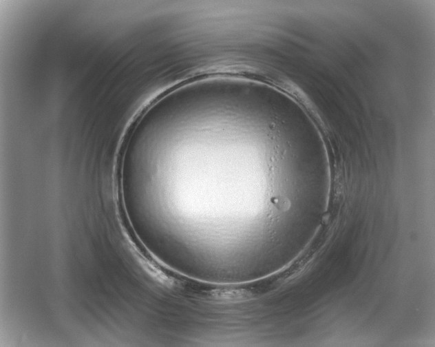 X0000067330795200604071324