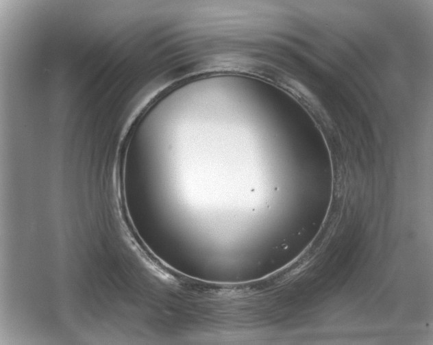 X0000067330796200604071324