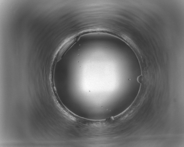 X0000067330797200604071324